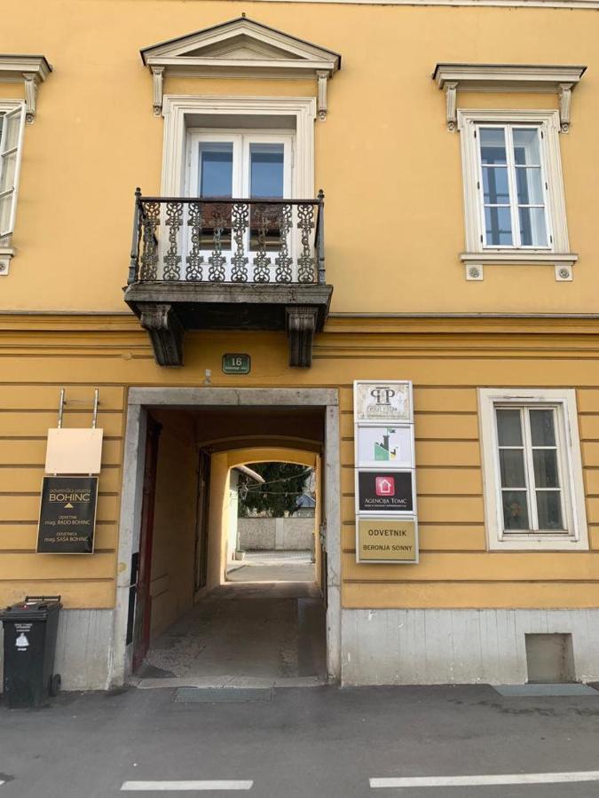 Cactus Apartment Free Parking For A Standard Car Laibach Exterior foto